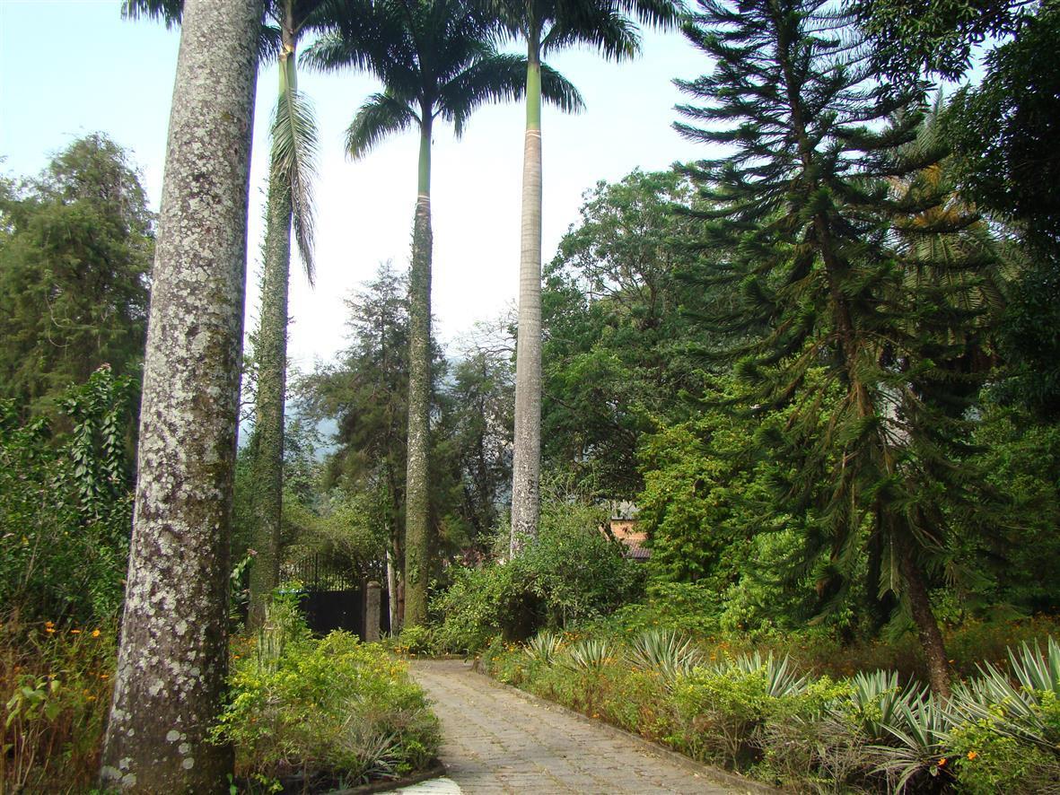 Casa De Campo Dos Sonhos Bed and Breakfast Cachoeiras de Macacu Eksteriør billede